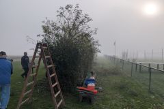 PXL_20251011_075456349