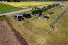 dji_fly_20230604_172518_13_1685892324910_photo_optimized